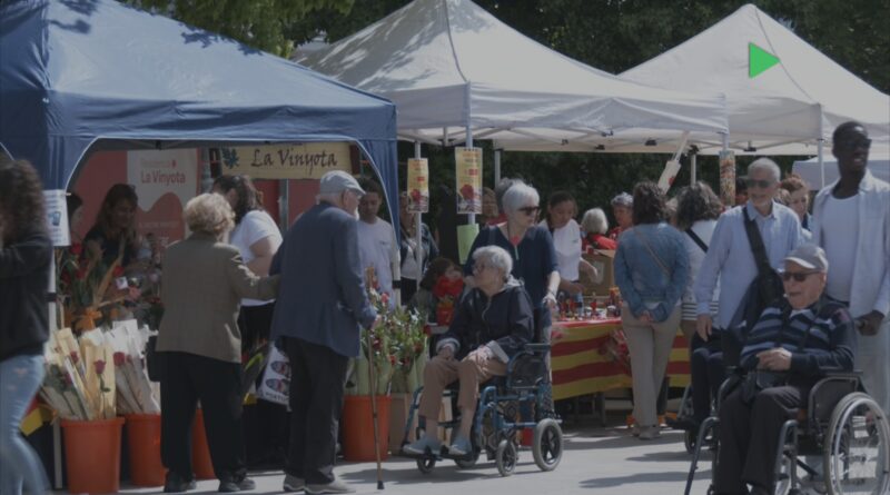 Sant Jordi omple el parc de les Pruneres de Mollet amb roses, llibres i tradició